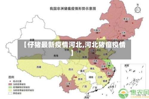 【仔猪最新疫情河北,河北猪瘟疫情】-第1张图片