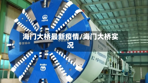 海门大桥最新疫情/海门大桥实况