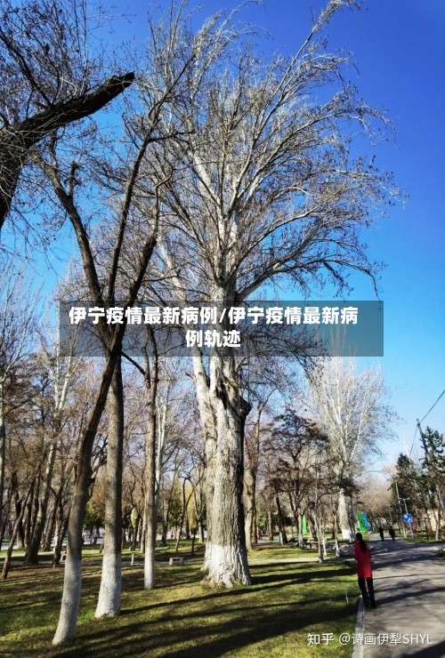 伊宁疫情最新病例/伊宁疫情最新病例轨迹