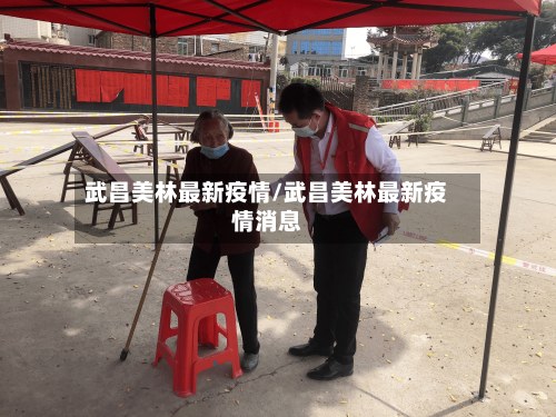 武昌美林最新疫情/武昌美林最新疫情消息-第1张图片