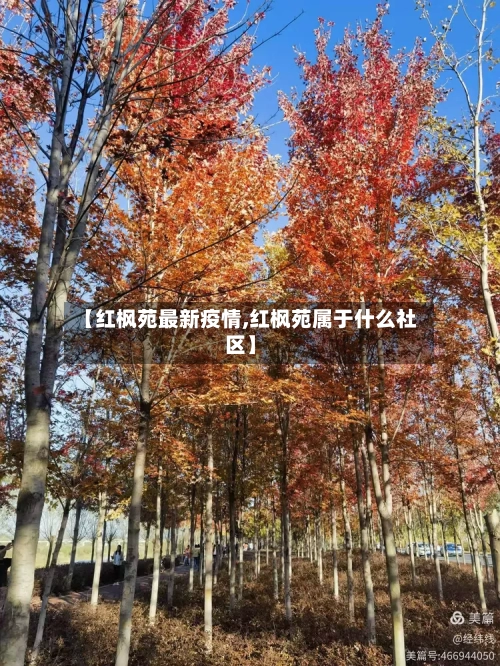 【红枫苑最新疫情,红枫苑属于什么社区】-第1张图片