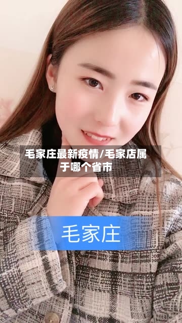 毛家庄最新疫情/毛家店属于哪个省市-第1张图片
