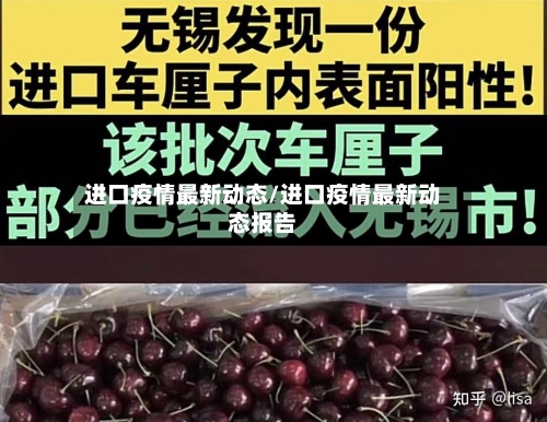 进口疫情最新动态/进口疫情最新动态报告-第1张图片