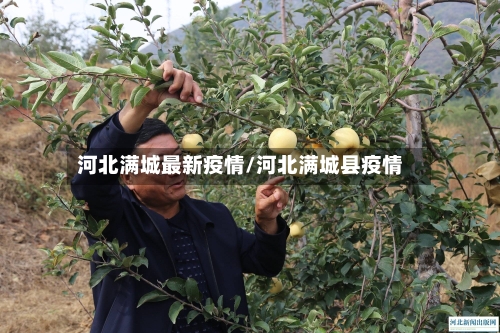 河北满城最新疫情/河北满城县疫情-第1张图片