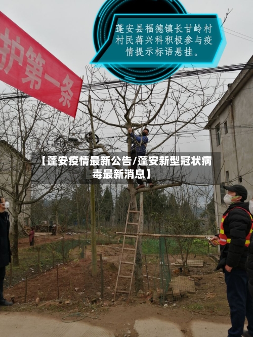 【蓬安疫情最新公告/蓬安新型冠状病毒最新消息】-第1张图片