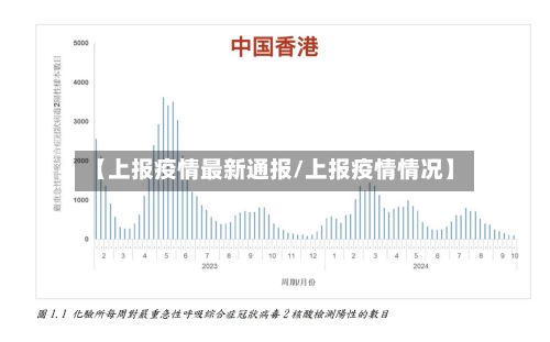 【上报疫情最新通报/上报疫情情况】-第1张图片