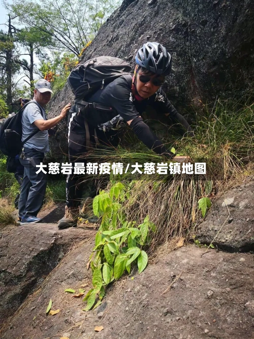 大慈岩最新疫情/大慈岩镇地图-第1张图片