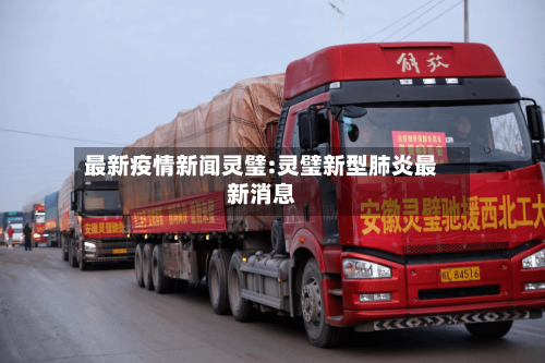 最新疫情新闻灵璧:灵璧新型肺炎最新消息-第1张图片