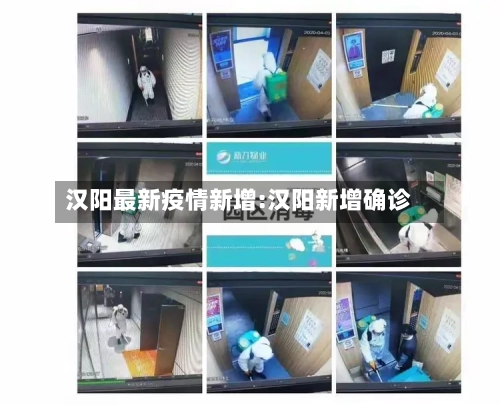 汉阳最新疫情新增:汉阳新增确诊-第1张图片