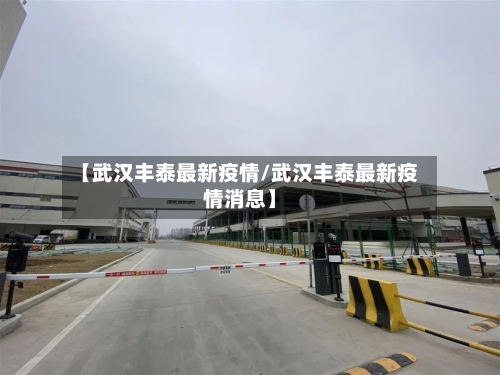 【武汉丰泰最新疫情/武汉丰泰最新疫情消息】-第1张图片