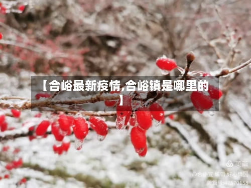 【合峪最新疫情,合峪镇是哪里的】-第1张图片