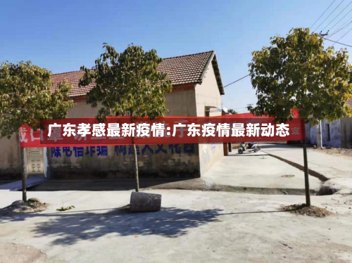 广东孝感最新疫情:广东疫情最新动态-第1张图片