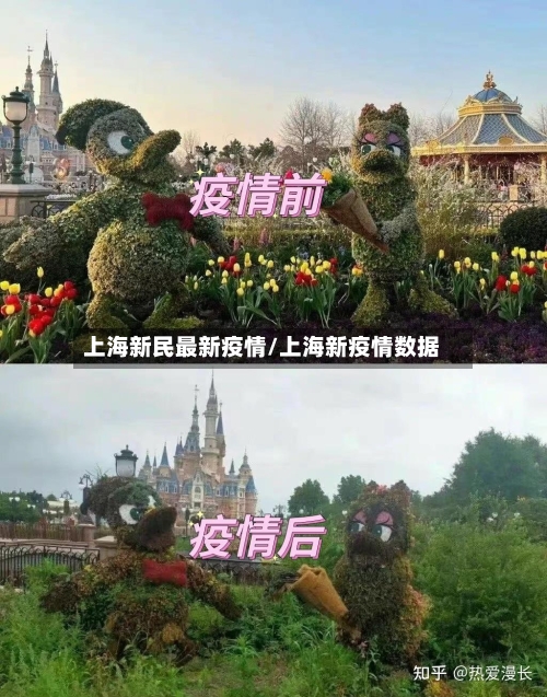 上海新民最新疫情/上海新疫情数据-第1张图片