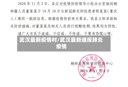 武汉最新疫情村/武汉最新通报肺炎疫情-第1张图片