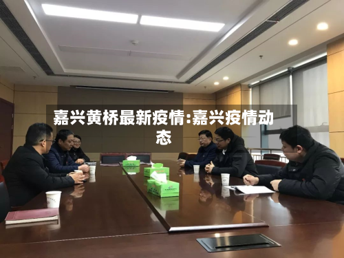 嘉兴黄桥最新疫情:嘉兴疫情动态-第1张图片