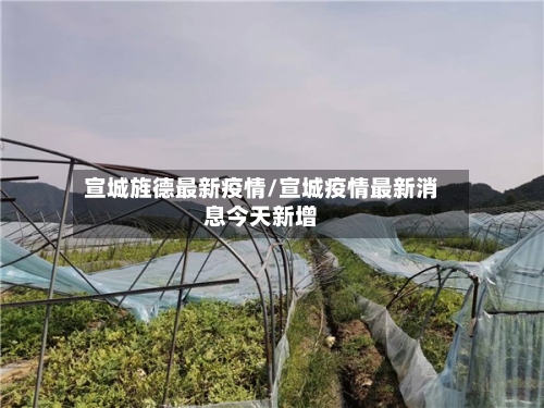 宣城旌德最新疫情/宣城疫情最新消息今天新增-第1张图片