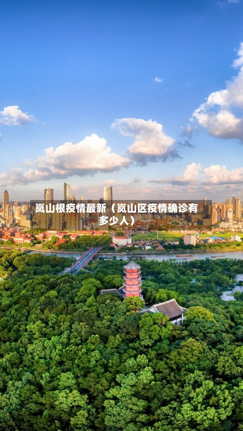 岚山根疫情最新(岚山区疫情确诊有多少人)-第1张图片