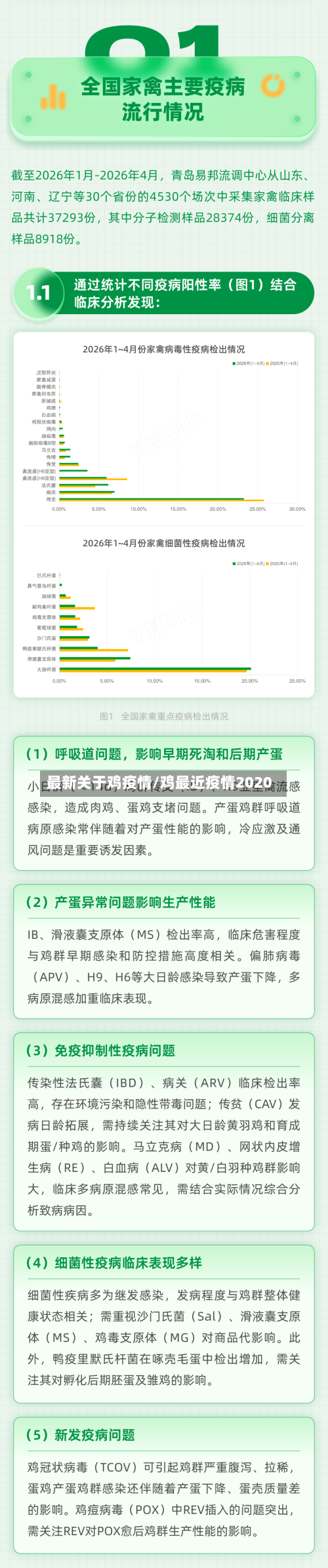 最新关于鸡疫情/鸡最近疫情2020-第1张图片