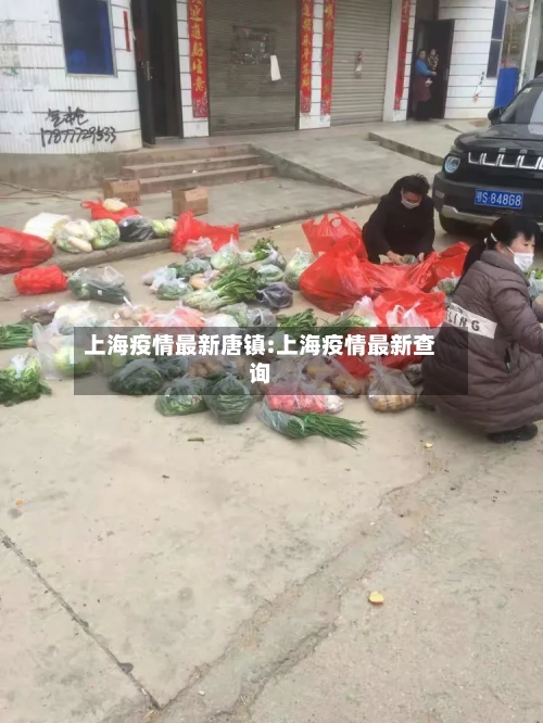 上海疫情最新唐镇:上海疫情最新查询-第1张图片