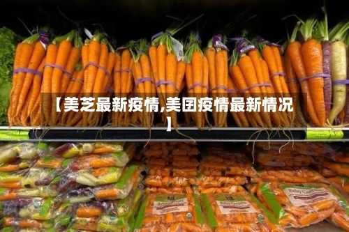 【美芝最新疫情,美囝疫情最新情况】-第1张图片