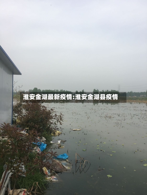 淮安金湖最新疫情:淮安金湖县疫情-第1张图片