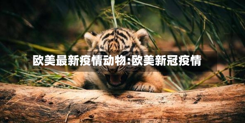 欧美最新疫情动物:欧美新冠疫情-第1张图片