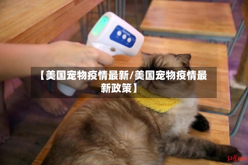 【美国宠物疫情最新/美国宠物疫情最新政策】-第1张图片