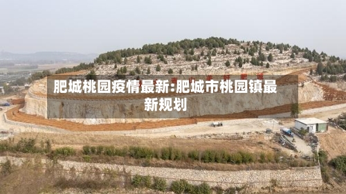 肥城桃园疫情最新:肥城市桃园镇最新规划-第1张图片