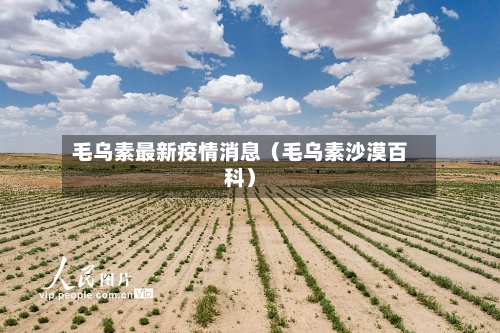 毛乌素最新疫情消息(毛乌素沙漠百科)-第1张图片