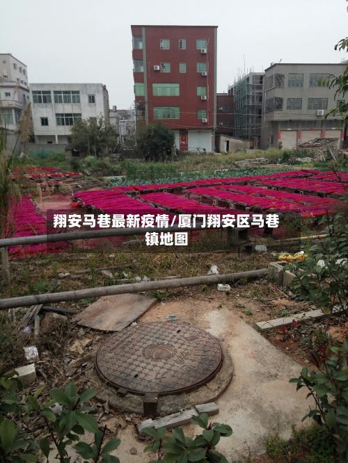 翔安马巷最新疫情/厦门翔安区马巷镇地图-第1张图片