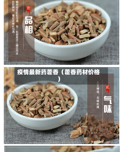 疫情最新药藿香(藿香药材价格)-第1张图片