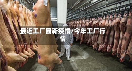 最近工厂最新疫情/今年工厂行情-第1张图片
