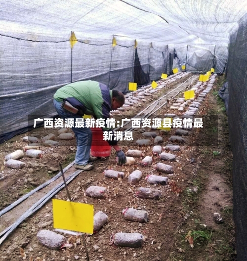 广西资源最新疫情:广西资源县疫情最新消息-第1张图片