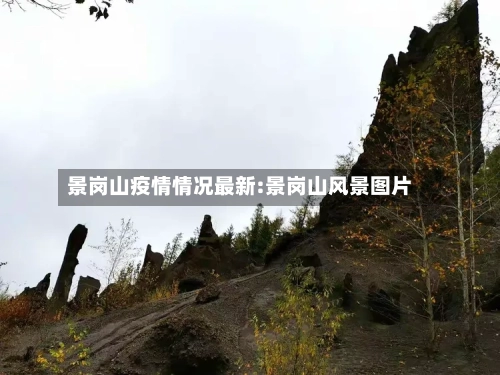 景岗山疫情情况最新:景岗山风景图片-第1张图片