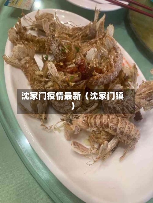 沈家门疫情最新(沈家门镇)-第1张图片