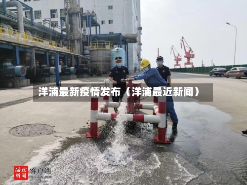 洋浦最新疫情发布(洋浦最近新闻)-第1张图片