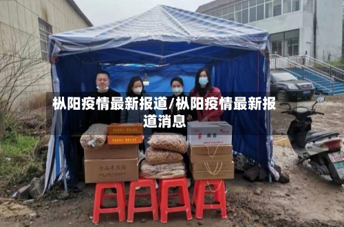 枞阳疫情最新报道/枞阳疫情最新报道消息-第1张图片