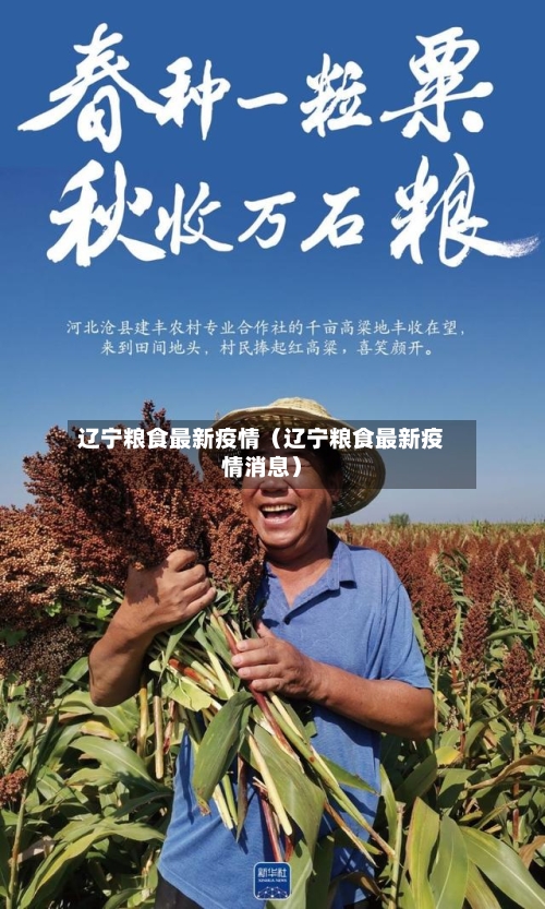 辽宁粮食最新疫情(辽宁粮食最新疫情消息)-第1张图片