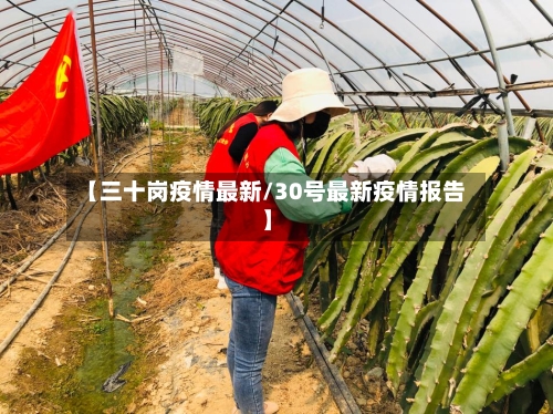 【三十岗疫情最新/30号最新疫情报告】