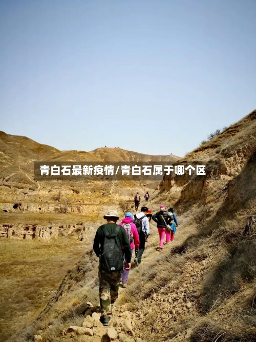 青白石最新疫情/青白石属于哪个区