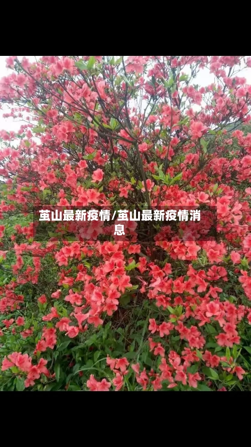 茧山最新疫情/茧山最新疫情消息