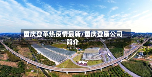 重庆登革热疫情最新/重庆登康公司简介-第1张图片