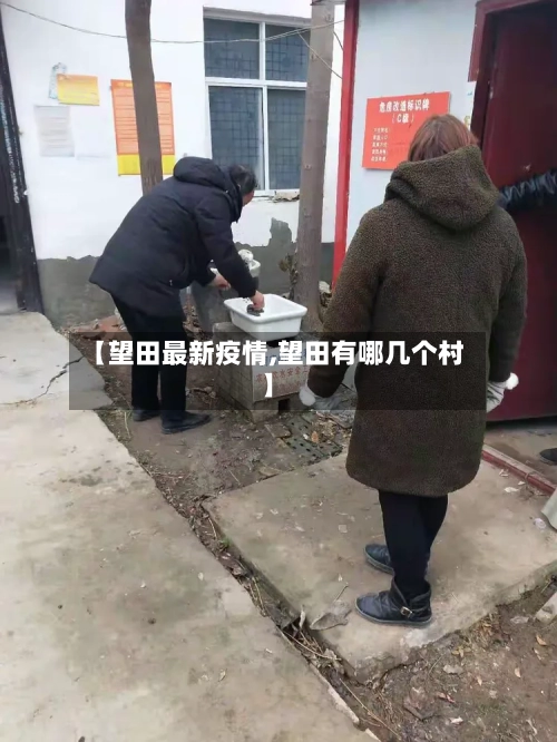 【望田最新疫情,望田有哪几个村】-第1张图片
