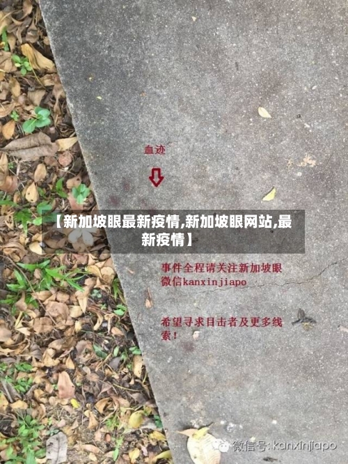 【新加坡眼最新疫情,新加坡眼网站,最新疫情】-第1张图片