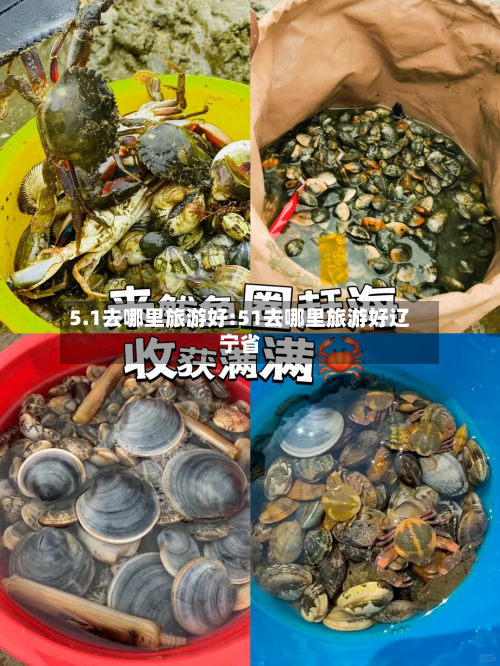 5.1去哪里旅游好:51去哪里旅游好辽宁省-第1张图片