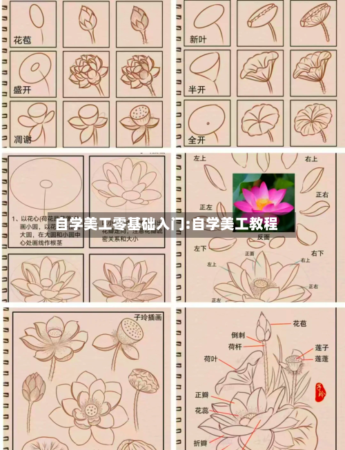 自学美工零基础入门:自学美工教程-第1张图片