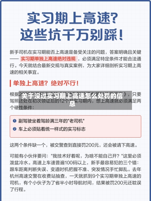 关于没过实习期上高速怎么处罚的信息-第1张图片