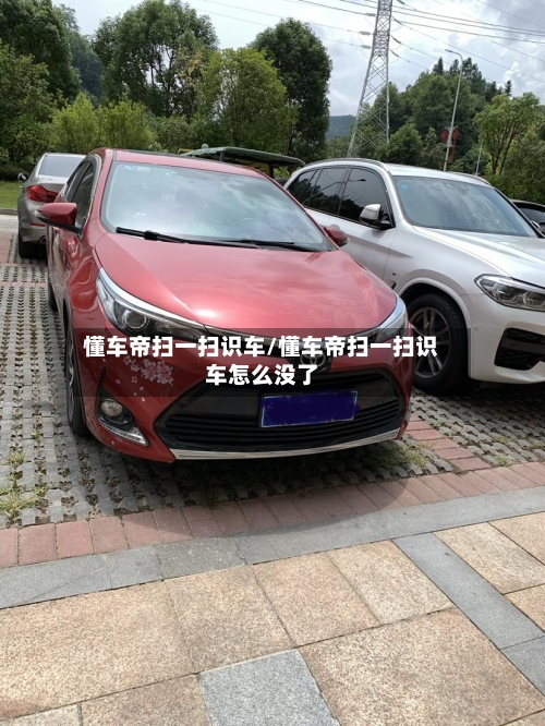 懂车帝扫一扫识车/懂车帝扫一扫识车怎么没了-第1张图片