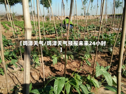 【鸡泽天气/鸡泽天气预报未来24小时】-第1张图片