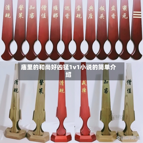 庙里的和尚好凶猛1v1小说的简单介绍-第1张图片